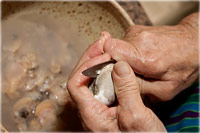 Shucka Da Clams