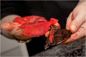 cleaning peppers