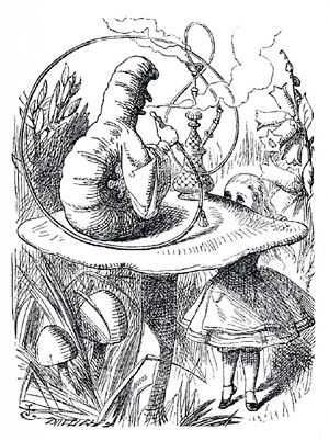 Alice