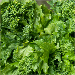 Broccoli Rabe